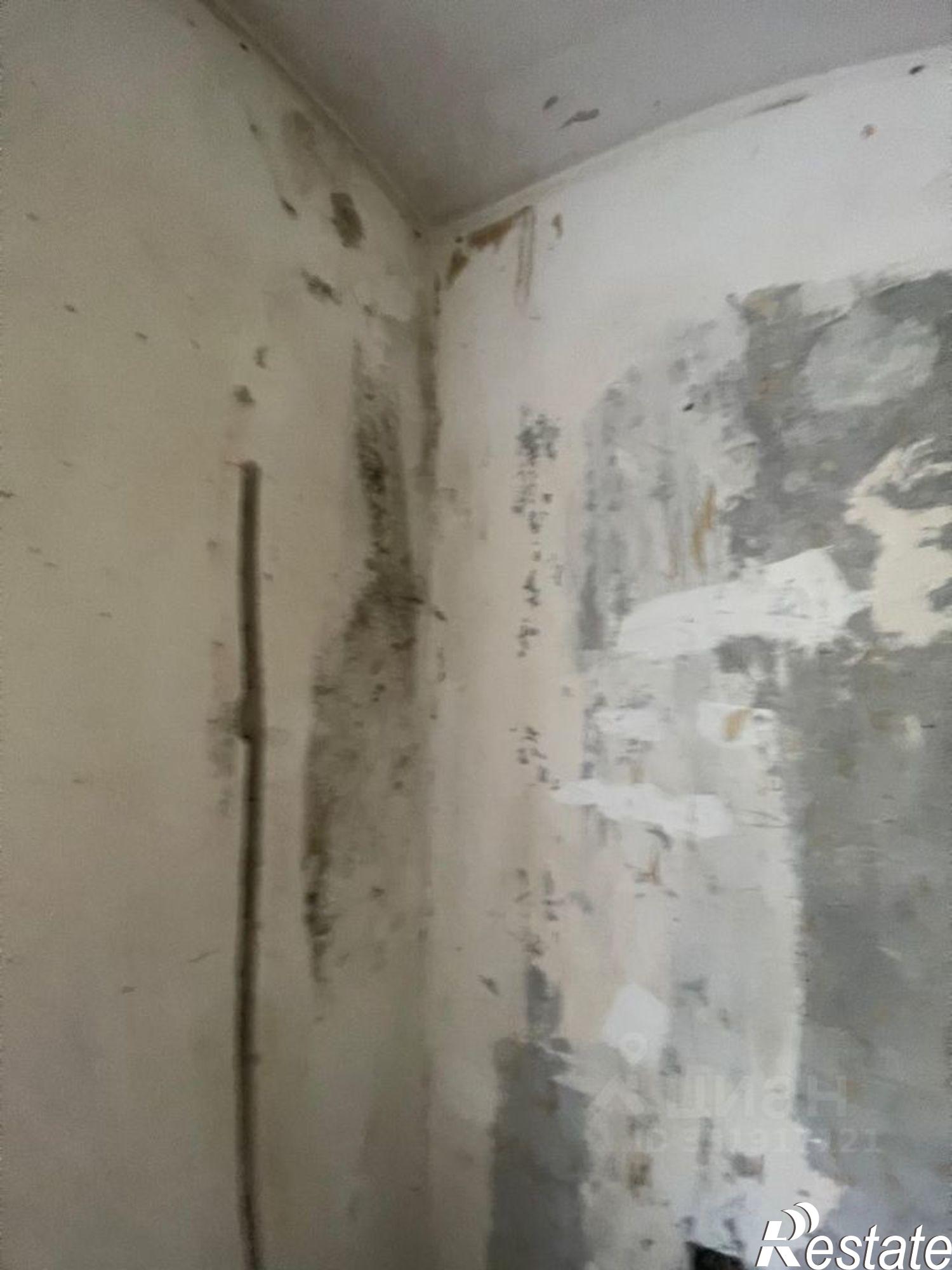 Сдать комнату за 9 500 рублей на ул Курчатова, 35